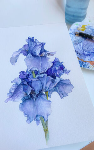 Flores lavanda