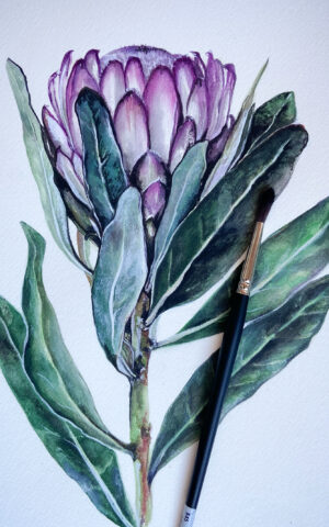 Flores salvajes